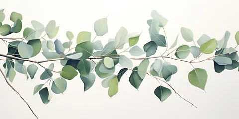 Fotobehang green watercolor eucalyptus leaves isolated on white.  © Planetz