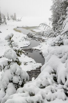 Winterwanderung um den Oderteich Bilder aus dem winterlichen Nationalpark Harz Niedersachsen