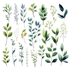 Watercolor floral set of green leaves, greenery, branches, PNG illustration on transparent background