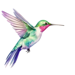 Fototapete Kolibri Hummingbird clipart for graphic resources watercolor PNG transparent background