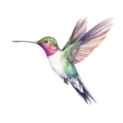 Crédence de cuisine en verre imprimé Colibri Hummingbird clipart for graphic resources watercolor PNG transparent background