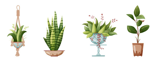 Fototapeta na wymiar Houseplant and macrame plant growing in pots. Set of handmade home decorations macrame plants isolated on white background. Cartoon flat illustration.