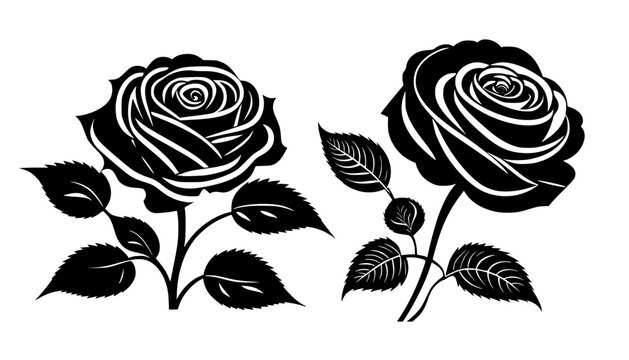 set of roses Vector illustration silhouette image icon