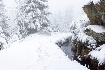 Winterwanderung um den Oderteich Bilder aus dem winterlichen Nationalpark Harz Niedersachsen