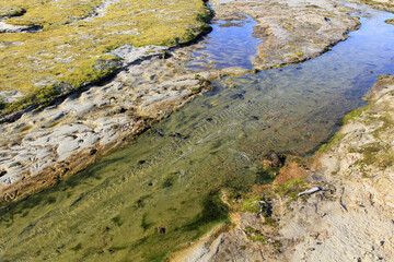 Paysage en zone humide