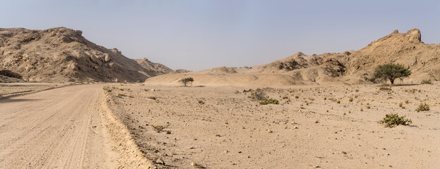 sparse vegetation at Moonlandscape, near Swakopmund, Namibia