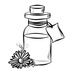 a bottle of chamomile essential oil vector
