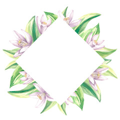 Square frame of citrus green leaves and white flowers. Summer botanical template with copy space. Isolated hand drawn illustration for cards and invitation, making stickers, print packaging, textile