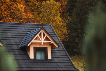 Closeup of a cozy suburban house. Nestled amidst lush greenery, the intricate design of a house window stands out against the backdrop of a dark shingled roof.