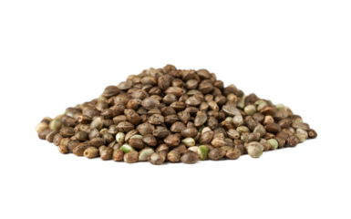 pile of weed cannabis hemp marijuana seed isolated on white background.