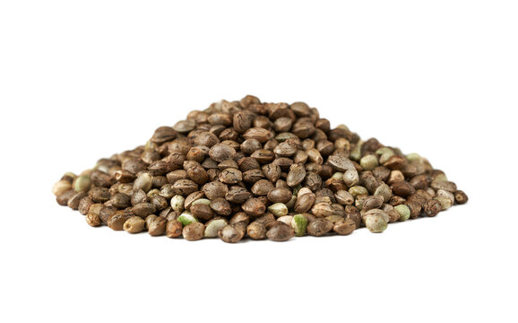pile of weed cannabis hemp marijuana seed isolated on white background.