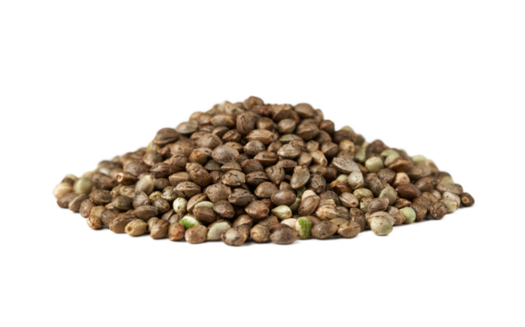pile of weed cannabis hemp marijuana seed isolated on white background.