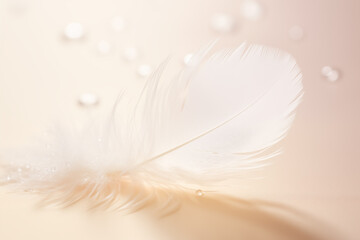 white light feather drop of water beige background