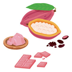 ルビーカカオとルビーチョコレート　イメージイラスト