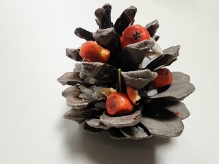 Pine cone filled with bird food