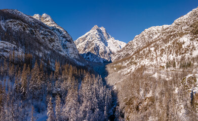 Mont Pelvoux peak in the Ecrins National Park. Aerial view of the valley in winter with frozen forest. Vallouise Valley, Hautes-Alpes (Alps) France