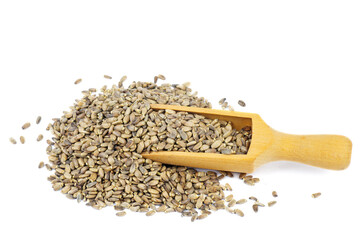Seeds of a Milk Thistle (Silybum marianum) with wooden scoop isolated on a white background