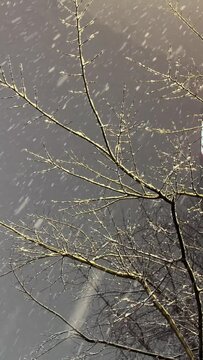 It's therapeutic, On a snowy winter day, I fall in love with memories. I remember my first love. The first snow of the year. The person I promised to meet today