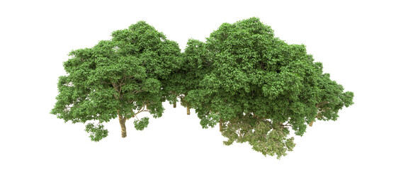 Naklejka premium Green forest isolated on background. 3d rendering - illustration