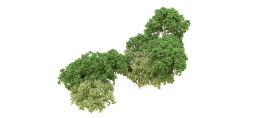 Obraz premium Green forest isolated on background. 3d rendering - illustration