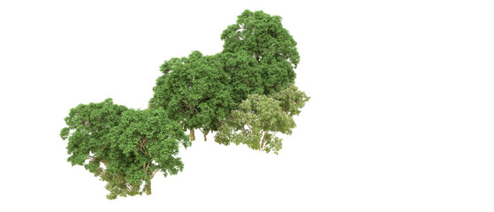 Fototapeta premium Green forest isolated on background. 3d rendering - illustration