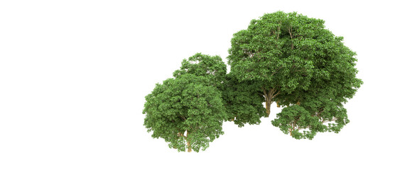 Fototapeta premium Green forest isolated on background. 3d rendering - illustration