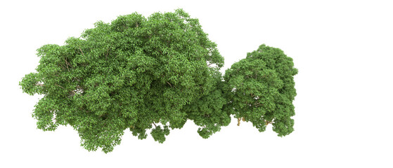 Obraz premium Green forest isolated on background. 3d rendering - illustration