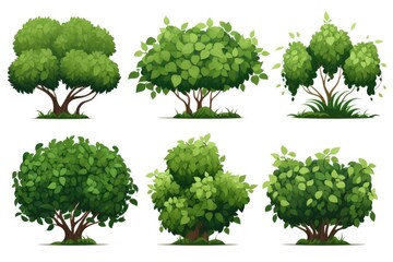 Set of bushes