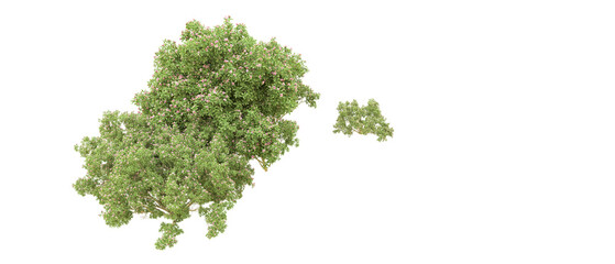Obraz premium Green forest isolated on background. 3d rendering - illustration