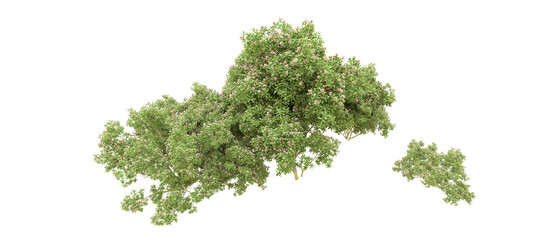 Green forest isolated on background. 3d rendering - illustration