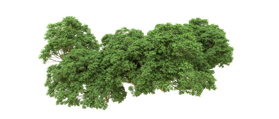 Green forest isolated on background. 3d rendering - illustration