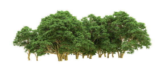 Green forest isolated on background. 3d rendering - illustration - obrazy, fototapety, plakaty