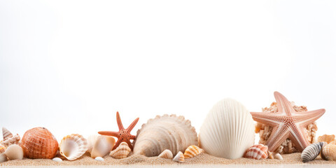 An arrangement of various seashells on sand, creating a tropical and idyllic atmosphere.
