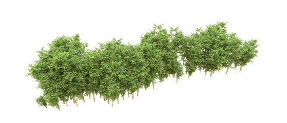 Green forest isolated on background. 3d rendering - illustration
