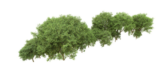 Obraz premium Green forest isolated on background. 3d rendering - illustration