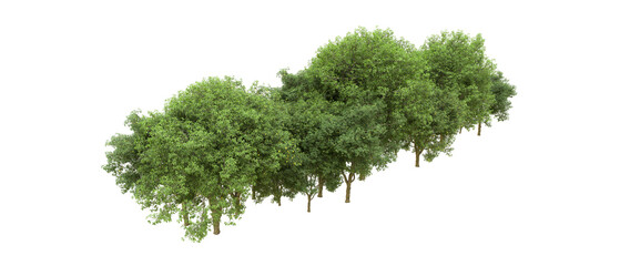 Obraz premium Green forest isolated on background. 3d rendering - illustration