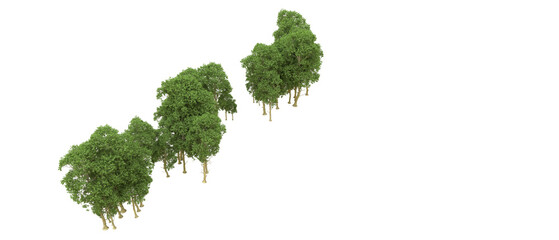 Fototapeta premium Green forest isolated on background. 3d rendering - illustration