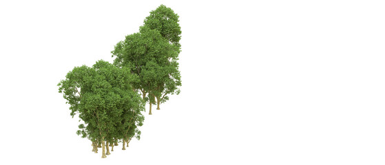 Obraz premium Green forest isolated on background. 3d rendering - illustration