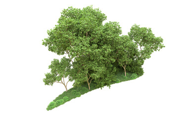 Fototapeta premium Green forest isolated on background. 3d rendering - illustration
