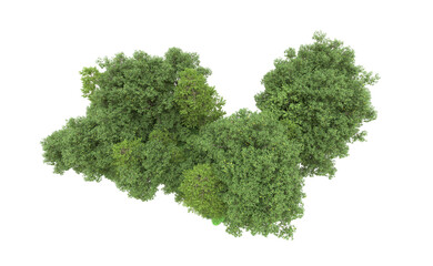 Green forest isolated on background. 3d rendering - illustration