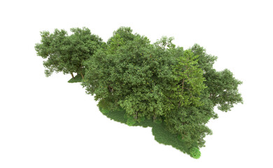Obraz premium Green forest isolated on background. 3d rendering - illustration