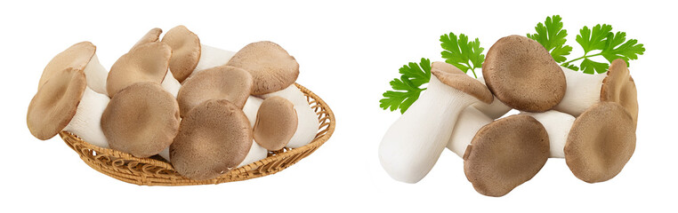 King Oyster mushroom or Eringi in wicker basket isolated on white background with full depth of field.