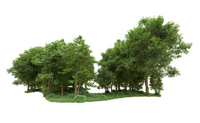Green forest isolated on background. 3d rendering - illustration