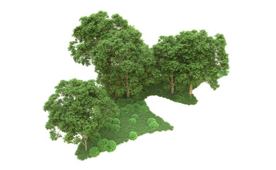 Green forest isolated on background. 3d rendering - illustration