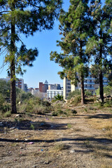 vista de Tarragona