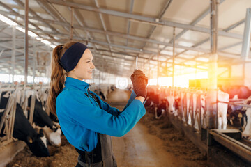 Portrait young woman veterinarian holding syringe with vaccine for holstein cows on background of...