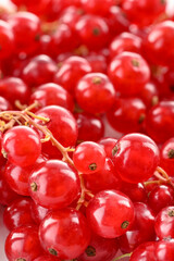 Ripe currant berries. Vitamins and Health Benefits.