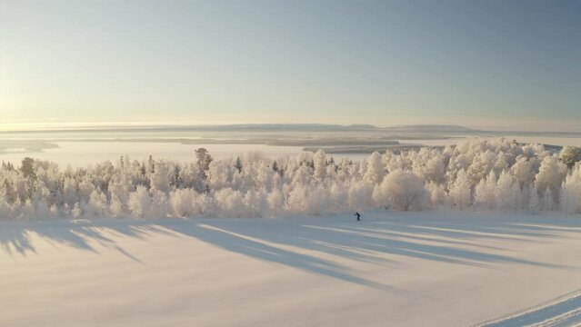 Wide drone footage of a cross country skier in a frosty magical winterland in northern Sweden.