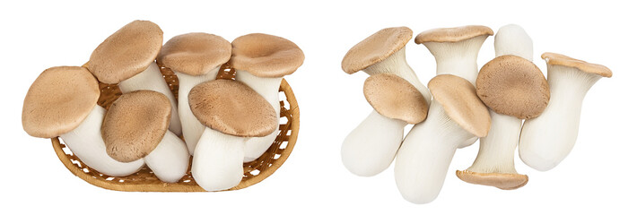 King Oyster mushroom or Eringi in wicker basket isolated on white background . Top view. Flat lay