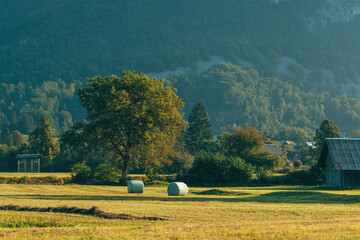 Idyllic picturesque farm meadow with rolled forage bales of mowed grass wrapped in plastic in...